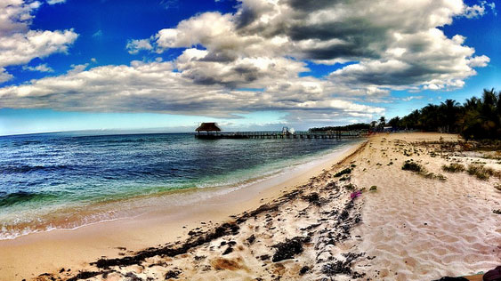 The beach in Cozumel — pier, palm trees, and the water where it all started